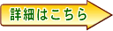 �ڍׂ͂�����